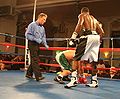 IOWA BOXING USA.jpg