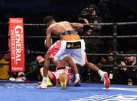 File:Ibf title ref 2.jpg