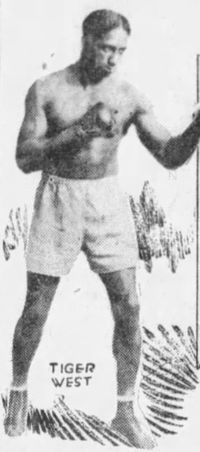 File:Indian tiger west.JPG