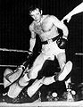 Ingemar Johansson vs. Franco Cavicchi . Fasan.jpg
