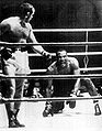 Ingemar Johansson vs. Joe Bygraves . Fasan.jpg
