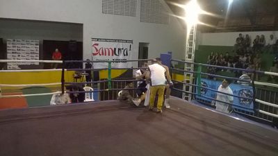 Ismael Bonfim vs. Jose Cassio da Silva Macena (15).jpg