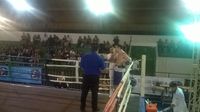 File:Ismael Bonfim vs. Jose Cassio da Silva Macena (20).jpg