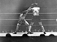 File:Jack (Kid) Berg vs. Marius Baudry . Fasan.jpg