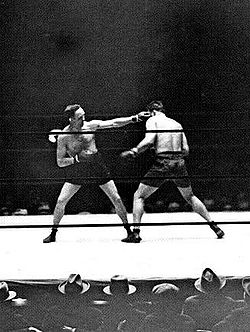 Jack Sharkey vs. Mike McTigue . Fasan.jpg