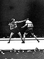 Jack Sharkey vs. Mike McTigue . Fasan.jpg