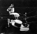 Jack Sharkey vs. Primo Carnera . Fasan.jpg