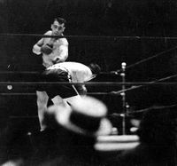 File:Jack Sharkey vs. Primo Carnera . Fasan.jpg