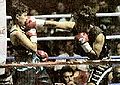 Thumbnail for version as of 17:20, 15 January 2012
