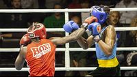 File:Jean Borges vs. Salvation Anichebe.jpg