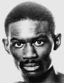 Jeff Chandler.JPG