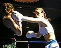 Thumbnail for version as of 02:33, 21 January 2012