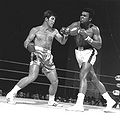 JerryQuarry Ali.jpg