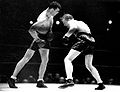 Jim Braddock vs. Tommy Farr . Fasan 56.jpg