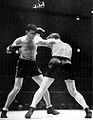Jim Braddock vs. Tommy Farr . Fasan 87.jpg