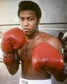 Jimmy Ellis 1231417.jpg
