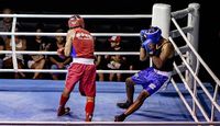 File:Joao Marcos vs. Diogo Silva.jpg