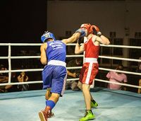 File:Joao Marcos vs. Gustavo Flores.jpg