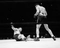 Joe Louis and Tony Galento-U510015ACME.jpg