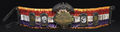 Thumbnail for version as of 07:13, 8 November 2014