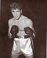 Joe Miceli .85269.jpg