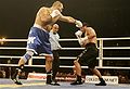 John-Ruiz-Nikolay-Valuev.jpg