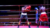File:John Koudeha vs. George Amuzu 028.jpg