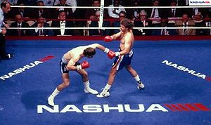 Johnny Du Plooy vs. Pierre Coetzer.jpg