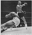 Johnson-Bowdry.jpg