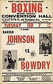 Johnson-Bowtry poster.jpg