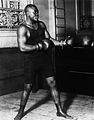Johnson 1907.jpg