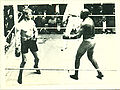 Johnson vs Moran.jpg