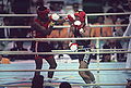 Thumbnail for version as of 05:26, 6 November 2012