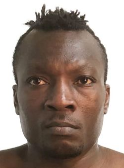 Jonny Joel Zeze Sigheh.jpg
