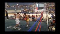 File:Jose Antonio Panduro Manu vs. Marcelo Antonio Gomez 002.jpg