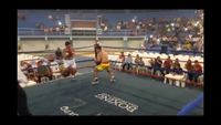 File:Jose Antonio Panduro Manu vs. Marcelo Antonio Gomez 010.jpg