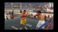 File:Jose Antonio Panduro Manu vs. Marcelo Antonio Gomez 018.jpg