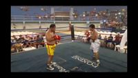 File:Jose Antonio Panduro Manu vs. Marcelo Antonio Gomez 024.jpg