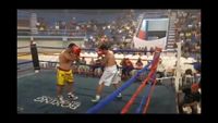 File:Jose Antonio Panduro Manu vs. Marcelo Antonio Gomez 027.jpg