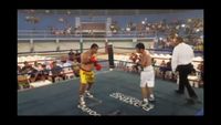 File:Jose Antonio Panduro Manu vs. Marcelo Antonio Gomez 045.jpg
