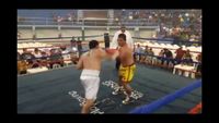 File:Jose Antonio Panduro Manu vs. Marcelo Antonio Gomez 054.jpg