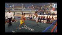 File:Jose Antonio Panduro Manu vs. Marcelo Antonio Gomez 062.jpg