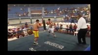 File:Jose Antonio Panduro Manu vs. Marcelo Antonio Gomez 064.jpg