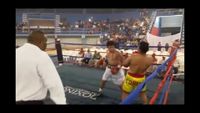 File:Jose Antonio Panduro Manu vs. Marcelo Antonio Gomez 071.jpg