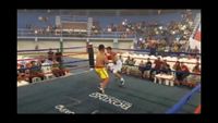 File:Jose Antonio Panduro Manu vs. Marcelo Antonio Gomez 072.jpg