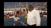 File:Jose Antonio Panduro Manu vs. Marcelo Antonio Gomez 074.jpg