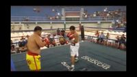 File:Jose Antonio Panduro Manu vs. Marcelo Antonio Gomez 098.jpg
