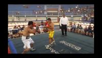 File:Jose Antonio Panduro Manu vs. Marcelo Antonio Gomez 119.jpg