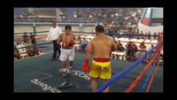 File:Jose Antonio Panduro Manu vs. Marcelo Antonio Gomez 137.jpg