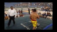 File:Jose Antonio Panduro Manu vs. Marcelo Antonio Gomez 139.jpg